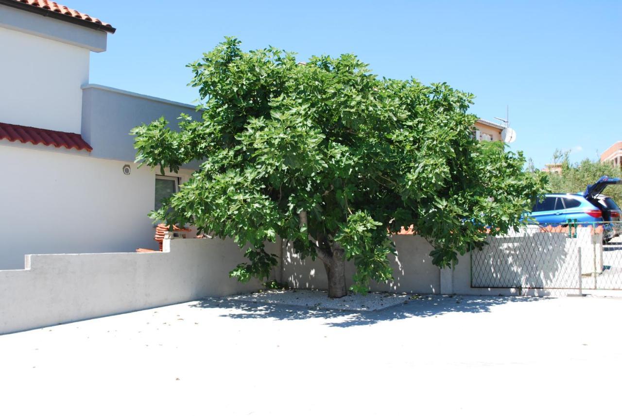 Villa Sabina - Apartments Kroatien Ražanac Екстериор снимка