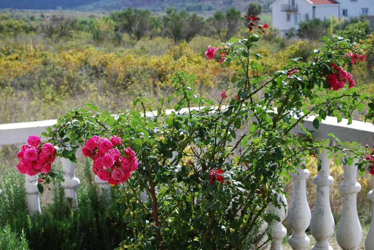 Villa Sabina - Apartments Kroatien Ražanac Екстериор снимка