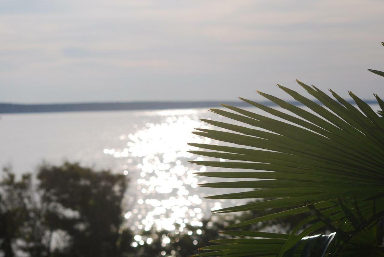 Villa Sabina - Apartments Kroatien Ražanac Екстериор снимка
